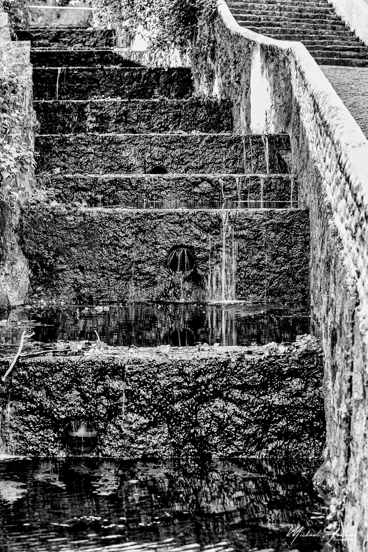 Photo of Walking And Nature - L71A6264-Edit-Edit